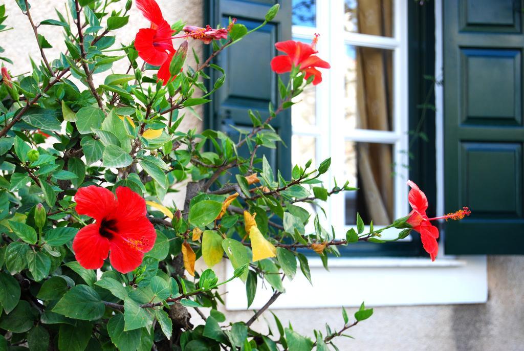 Twin House Spetses Hotel Exterior photo