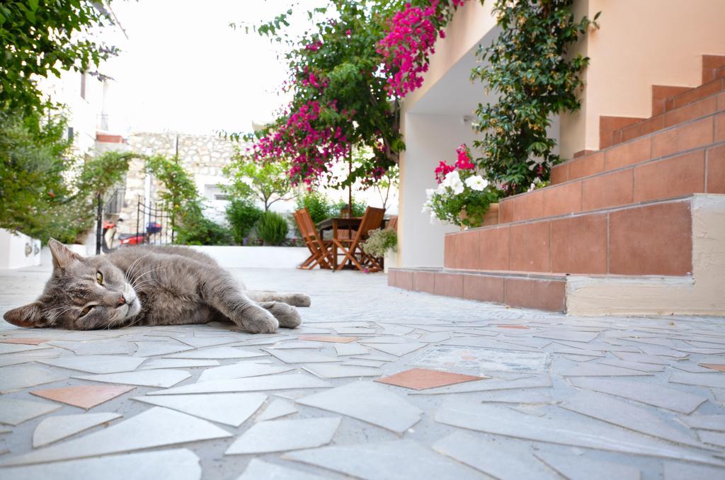 Twin House Spetses Hotel Exterior photo